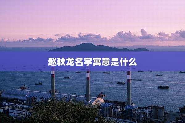 赵秋龙名字寓意是什么