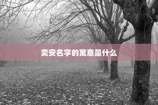 奕安名字的寓意是什么