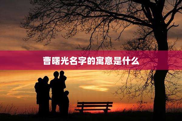 曹曙光名字的寓意是什么