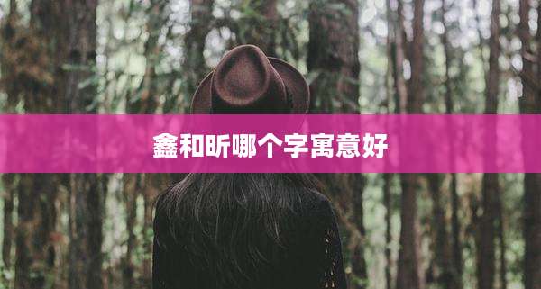 鑫和昕哪个字寓意好