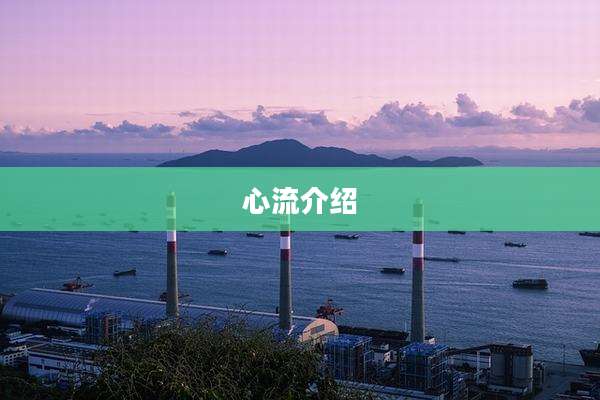 心流介绍