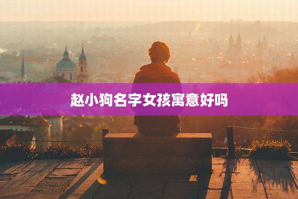 赵小狗名字女孩寓意好吗