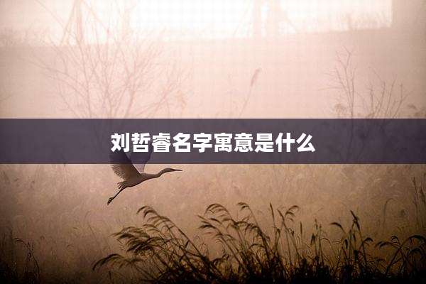 刘哲睿名字寓意是什么