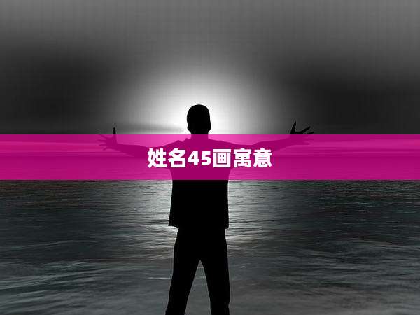 姓名45画寓意