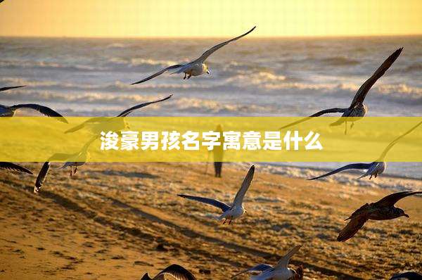 浚豪男孩名字寓意是什么