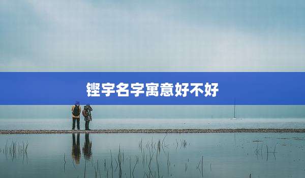 铿宇名字寓意好不好