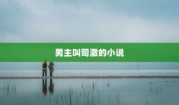 男主叫司澈的小说