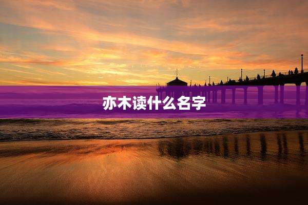 亦木读什么名字
