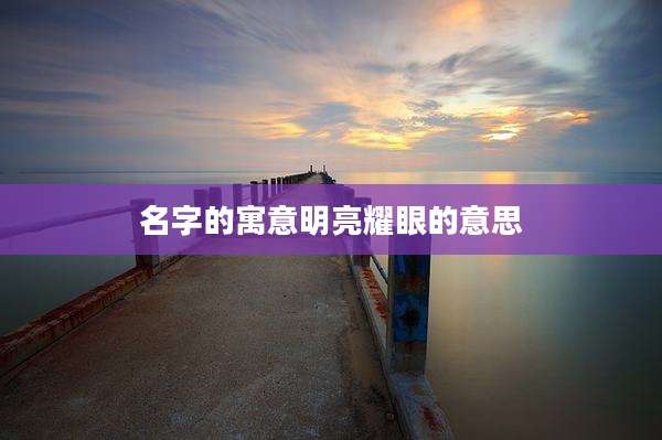 名字的寓意明亮耀眼的意思