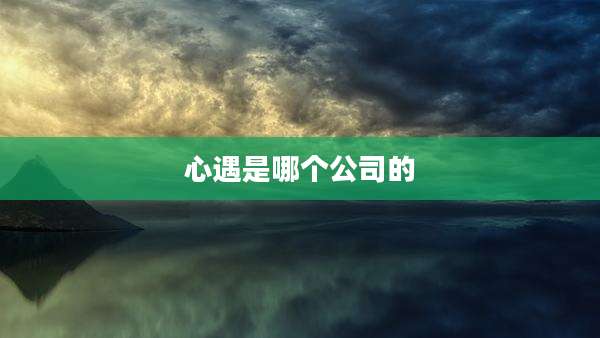 心遇是哪个公司的