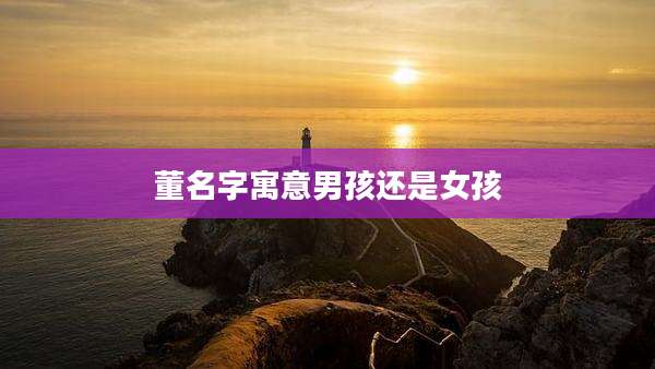 董名字寓意男孩还是女孩
