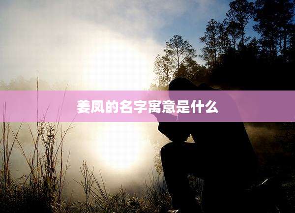 姜凤的名字寓意是什么