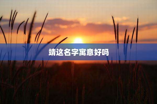 靖这名字寓意好吗