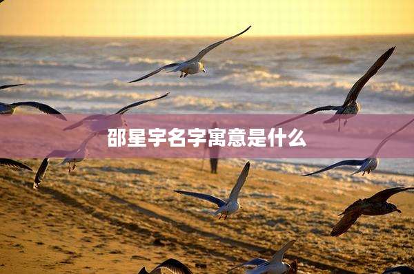 邵星宇名字寓意是什么