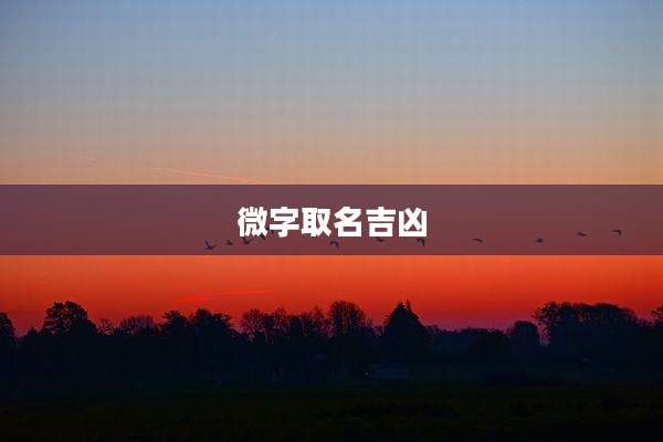 微字取名吉凶