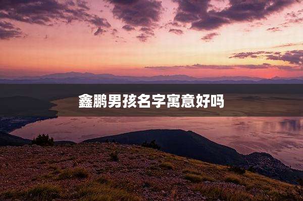 鑫鹏男孩名字寓意好吗