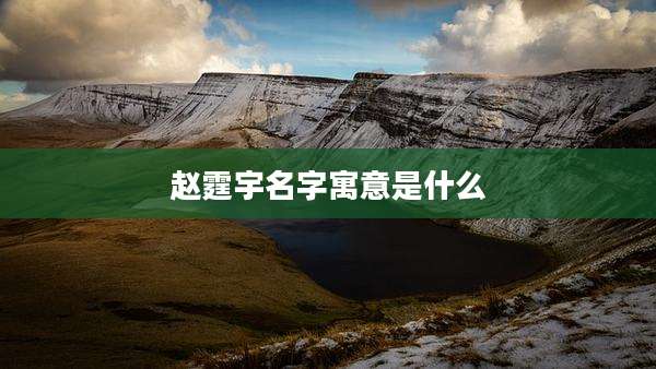 赵霆宇名字寓意是什么