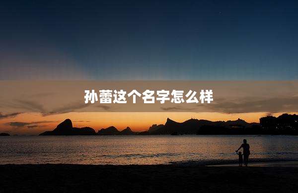 孙蕾这个名字怎么样