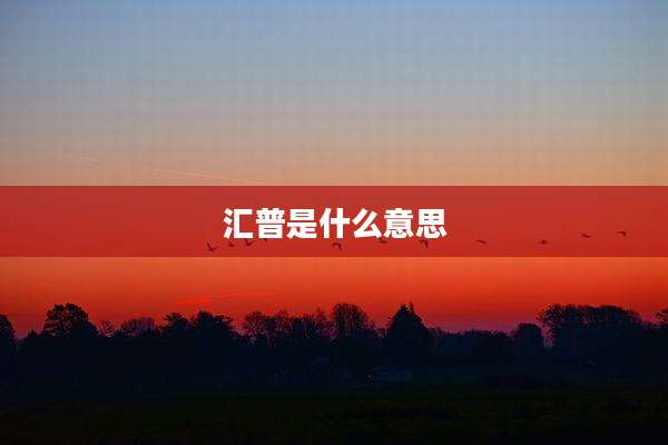 汇普是什么意思