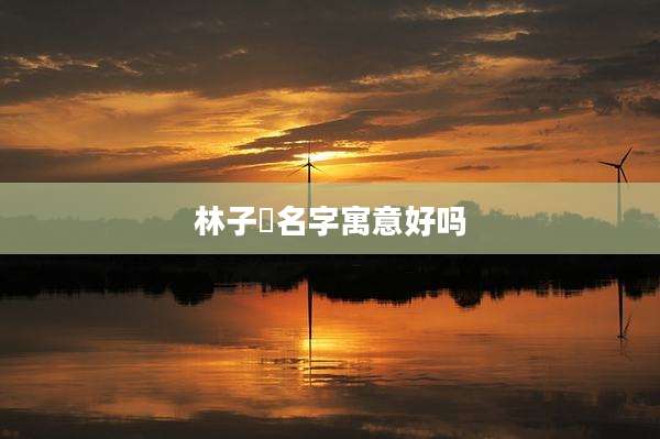 林子珺名字寓意好吗