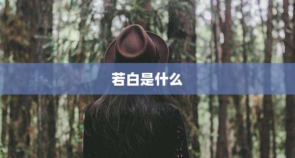 若白是什么