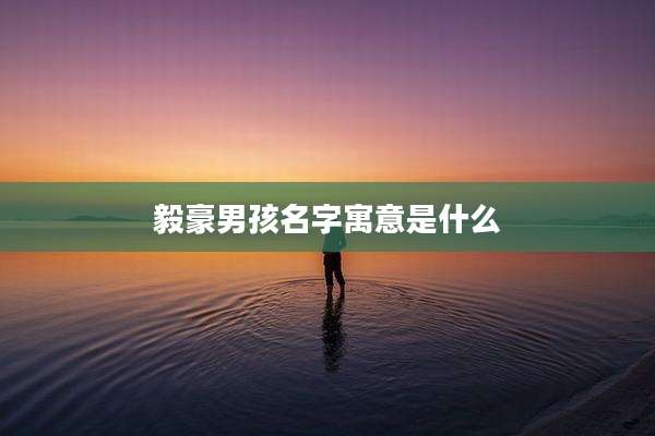 毅豪男孩名字寓意是什么