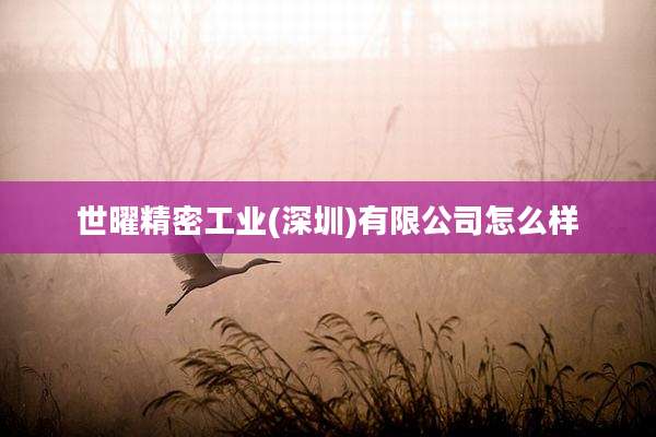 世曜精密工业(深圳)有限公司怎么样