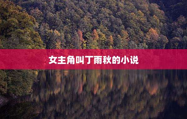 女主角叫丁雨秋的小说