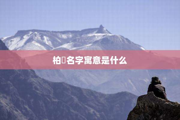 柏赟名字寓意是什么