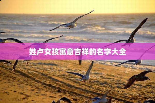 姓卢女孩寓意吉祥的名字大全