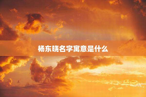 杨东晓名字寓意是什么