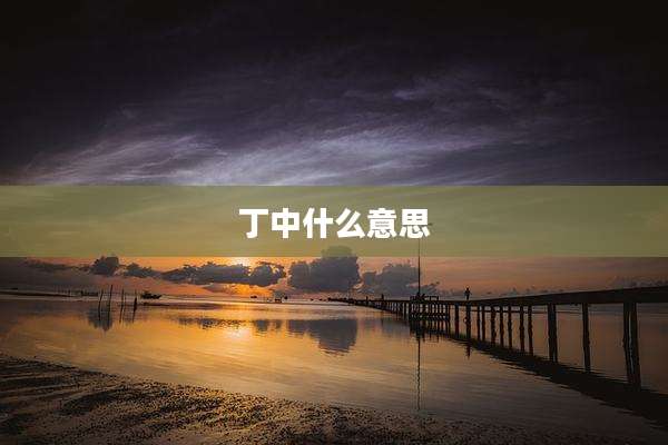 丁中什么意思