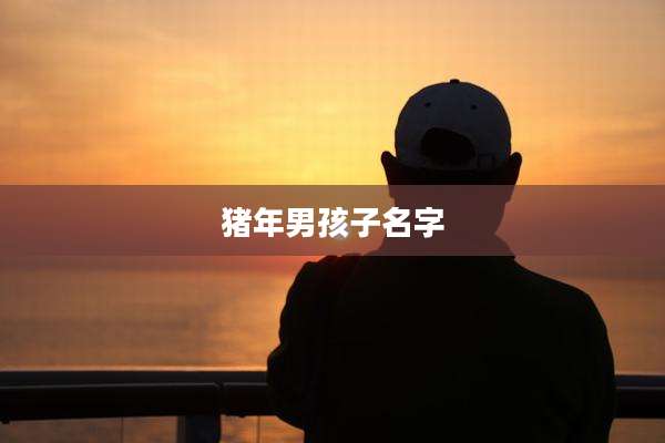 猪年男孩子名字