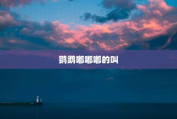 鹦鹉嘟嘟嘟的叫