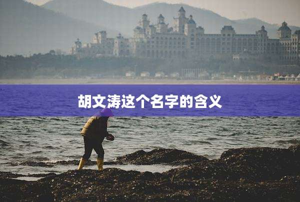 胡文涛这个名字的含义