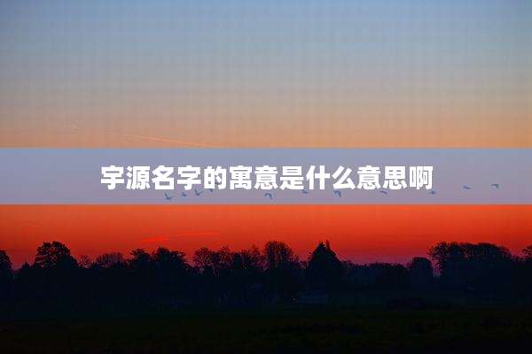 宇源名字的寓意是什么意思啊