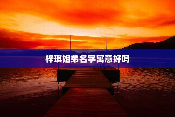 梓琪姐弟名字寓意好吗