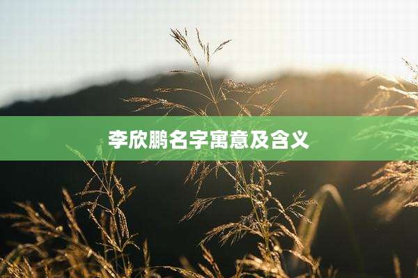 李欣鹏名字寓意及含义