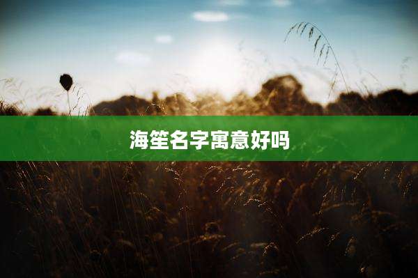 海笙名字寓意好吗
