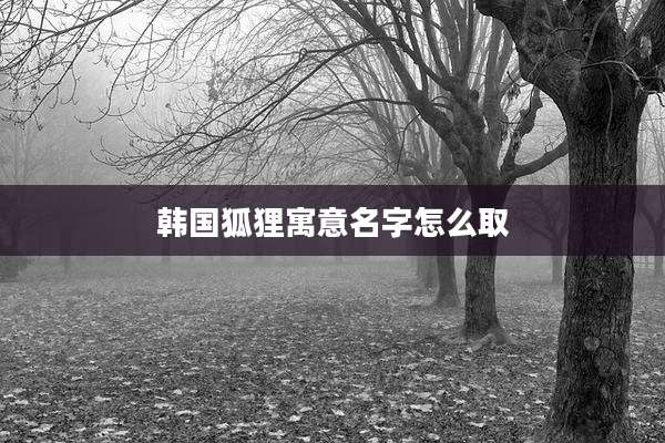 韩国狐狸寓意名字怎么取