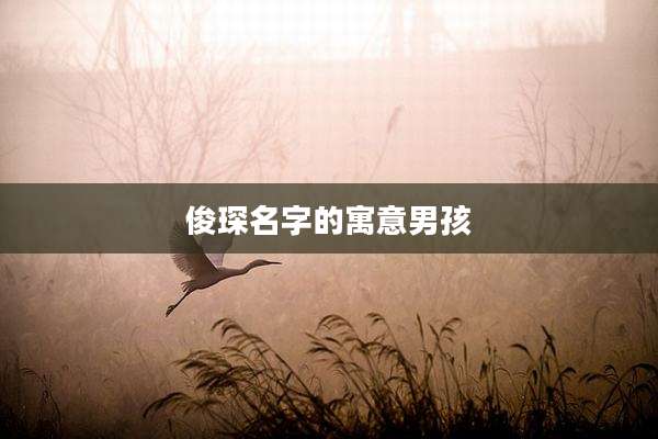 俊琛名字的寓意男孩