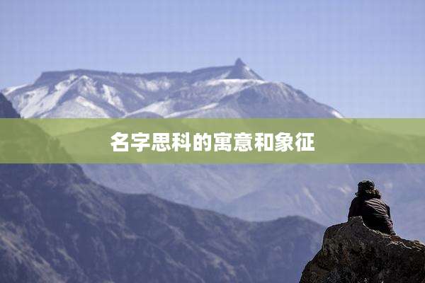 名字思科的寓意和象征