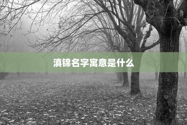 滇锦名字寓意是什么