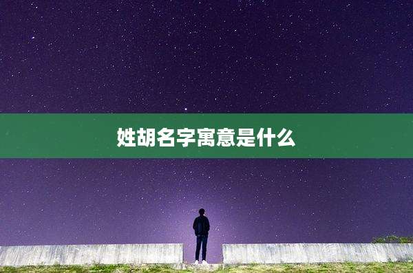 姓胡名字寓意是什么