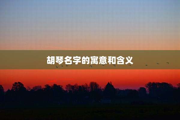 胡琴名字的寓意和含义