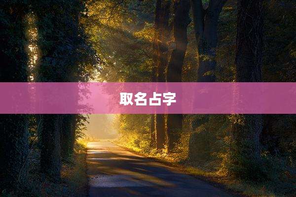 取名占字