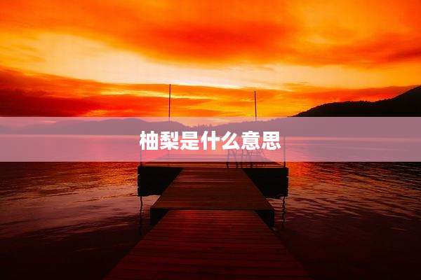 柚梨是什么意思