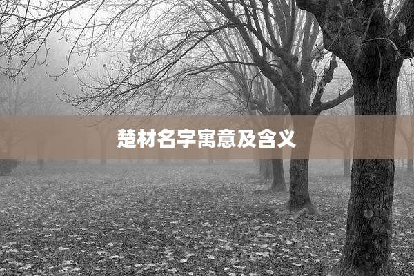 楚材名字寓意及含义
