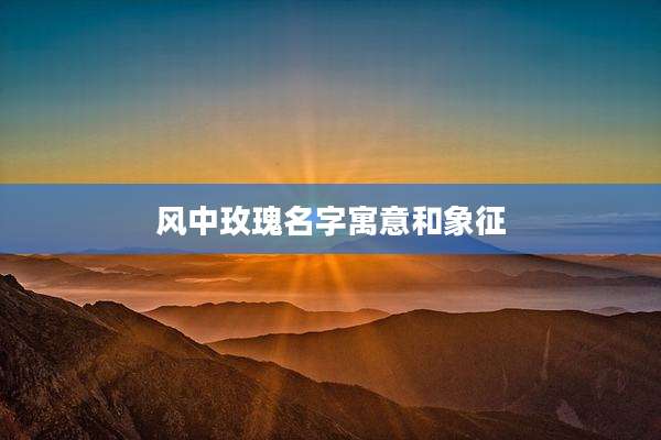 风中玫瑰名字寓意和象征