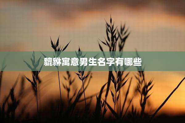 貔貅寓意男生名字有哪些